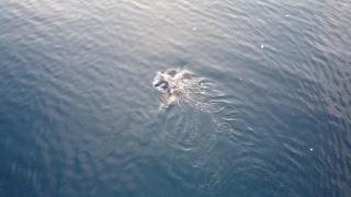 Tarafudin Guest House - 1