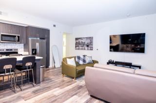 Silver Spring Penthouse 2BR with Rooftop pool and Metro Access - Silver Spring - 5