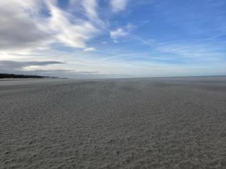 Apartment in Koksijde near Seawall & Beach, cleaning included - Koksijde - 1
