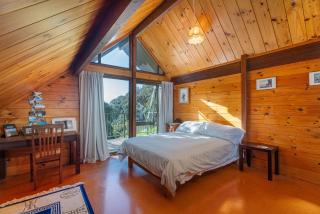 Onemana - Beautiful Beachfront - Opoutere - 3