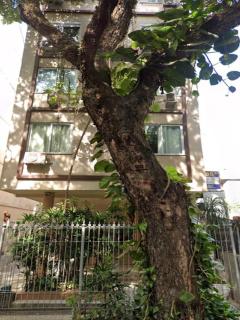 Charmoso apartamento em Ipanema - a 150m da praia - Rio de Janeiro - 9