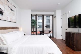 Back-Bay Upscale Central Condo Rooftop & Parking - Boston - 0