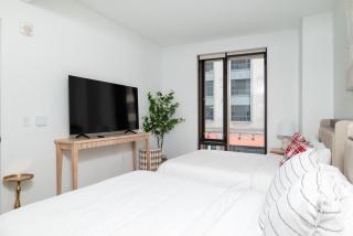 Back-Bay Upscale Central Condo Rooftop & Parking - Boston - 7