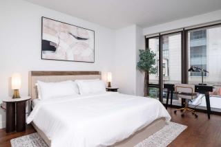 Back-Bay Upscale Central Condo Rooftop & Parking - Boston - 2