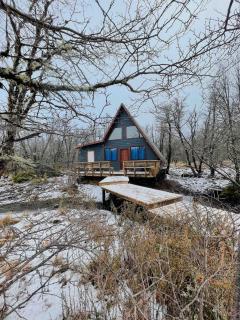 OH Refugio de Nieve Los Ñirres Malalcahuello Corralco - Malalcahuello - 4