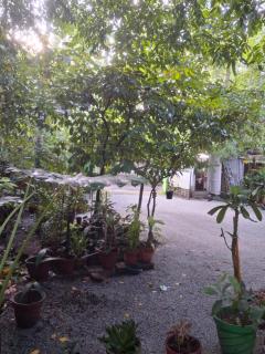 Greens Homestay Varkala - Varkala - 1