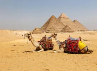 go pyramids in - Kairo - 2