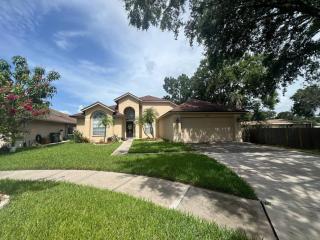 Traditional Home in Tampa - Tampa - 9