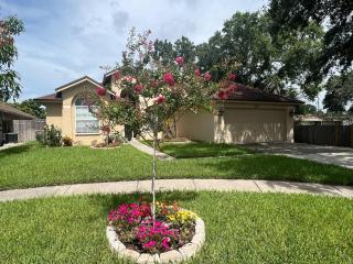 Traditional Home in Tampa - Tampa - 8