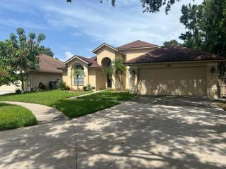 Traditional Home in Tampa - Tampa - 7