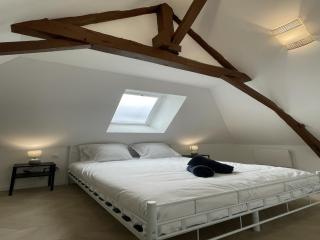 Duplex in Noyen-sur-Sarthe near Le Mans - Noyen-sur-Sarthe - 2