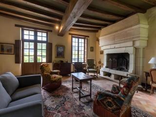 Château in Touraine with Private Park - Le Lude - 2