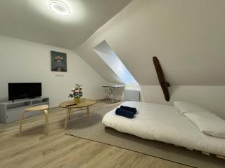 Apartment in Le Mans near Historic Center - Le Mans - 2