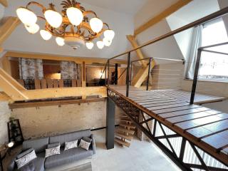 Industrial Elegance in the Sarthe Countryside - Thorigné-sur-Dué - 5
