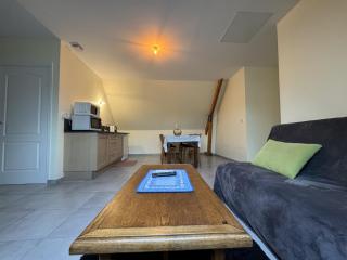 Apartment near Le Mans with Private Garden - Chaufour-Notre-Dame - 4
