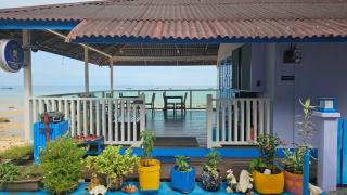 X Rector Finest - Isola di Tioman - 9