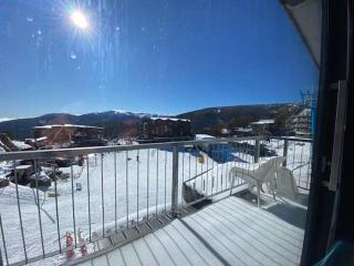 Snowland Apartment 1 - Falls Creek - 3