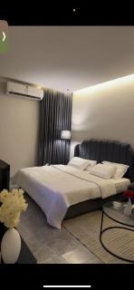 شقه استديو بدخول ذكي - Riad - 9