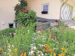 BodenSEE Apartment Tettnang APFELLIEBE - Tettnang - 8