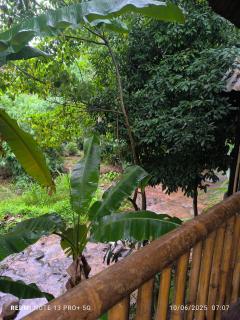 Hill Tribe Art House (Lahu & Akha Homestay) - Ban Khrae Yao Doi Bo - 8