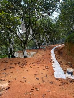 Maju Farm House - Hulu Langat - 4