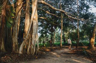 The Coconut Experience Eco Lodge - - 7