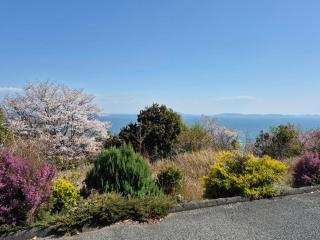 名田忠山荘 - Tatsuno - 9