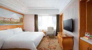 Vienna Hotel Qinghai Xining Wanda Plaza - Xining - 9