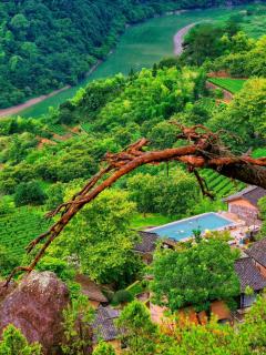 Wuyi Zizai Valley Homestay - - 7