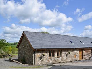 Y Dderwen At Brynglas Farm - Llanfair Caereinion - 0
