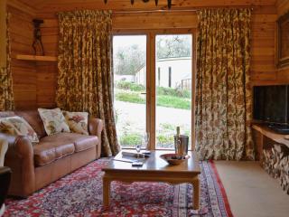 Ash Mill Cabin - Ashreigney - 8