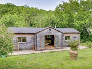 Ash Mill Cabin - Ashreigney - 0