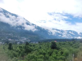 Wander Nest Manali Luxurious rooms with mountain peaks and waterfall view - 6