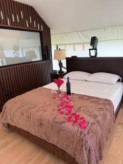Safari Glamping By Ohana Green Home - Alto del Mamey - 8