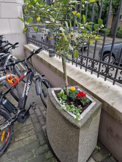 Krakowska Oaza - Krakau - 8