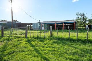 Brushy Bills Farmhouse Horse Motel Pet Sleeps 7 by Vacation Your Way - Hico - 1
