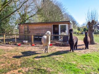 Alpaca Lodge - - 0
