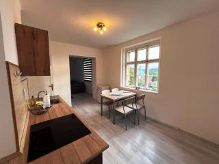 Apartmán u Koupaliště - Česká Kamenice - 7