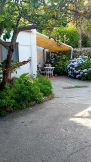 La Dracena - Ischia - 9