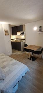 STUDIO PANNESSAC pour 1 personne - Le Puy-en-Velay - 0