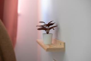 2 Bed Ethnic Vibe A Unique Stay Close to Kaleici - Antalya - 4