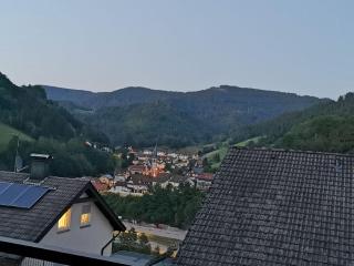 Ferienwohnung Hilde - Bad Peterstal-Griesbach - 1