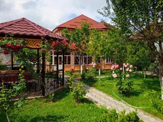 Khan Villa - Gabala - 9