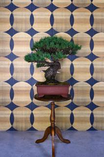 宿Joan - Sakurai - 8