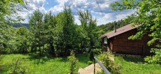 Mystically Wood House in The Forest - Cîrjari - 7