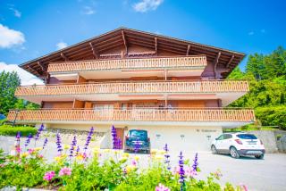 Mountain view Balcony et comfort - Ollon - 5