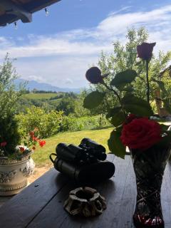 Cabana Dintre Fagi - Poiana Mărului - 9
