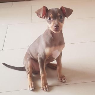 ALBERGUE RUTA RIo BOROSA - 3