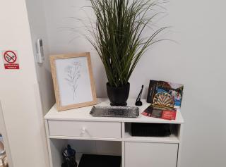 Studio Apartment Enter - Karlovac - 1