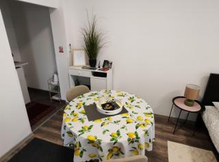 Studio Apartment Enter - Karlovac - 4